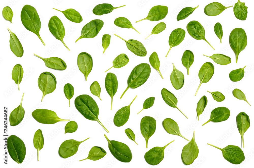 Spinach pattern background on white. Spinach pattern background on white.