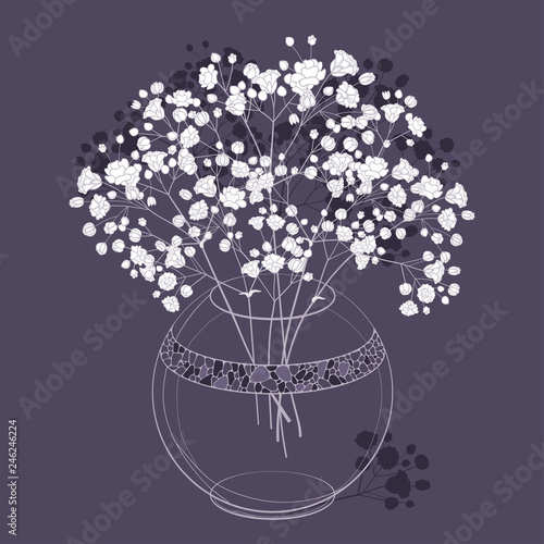 Vector bouquet of outline Gypsophila or Baby's breath flower bunch and bud in transparent round vase in white on the dark purple background. Ornate contour Gypsophila branch for spring design.