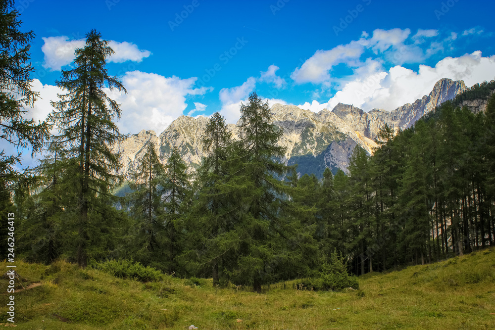 Details from national park Triglav, part of Alps mountains in Slovenia