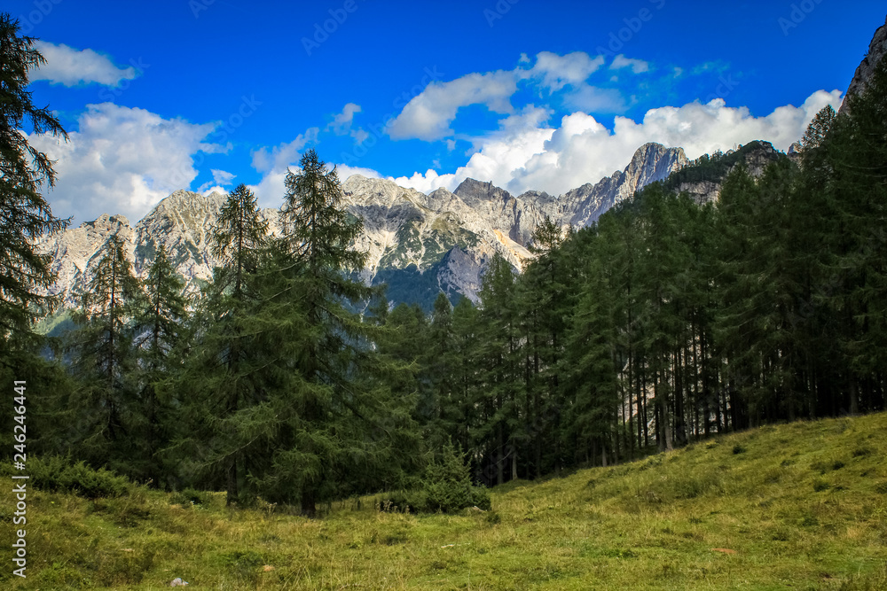 Details from national park Triglav, part of Alps mountains in Slovenia