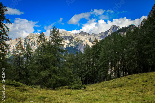 Fototapeta Naklejka Na Ścianę i Meble -  Details from national park Triglav, part of Alps mountains in Slovenia