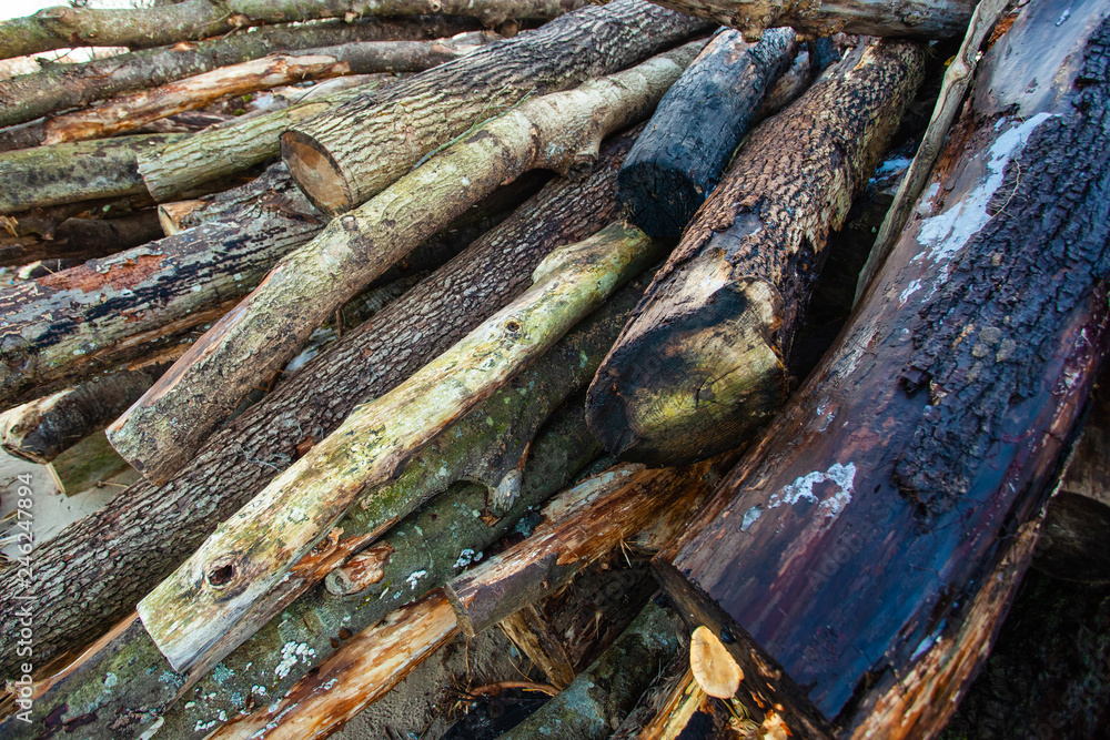 large pile of raw, old logs and firewood, background, texture