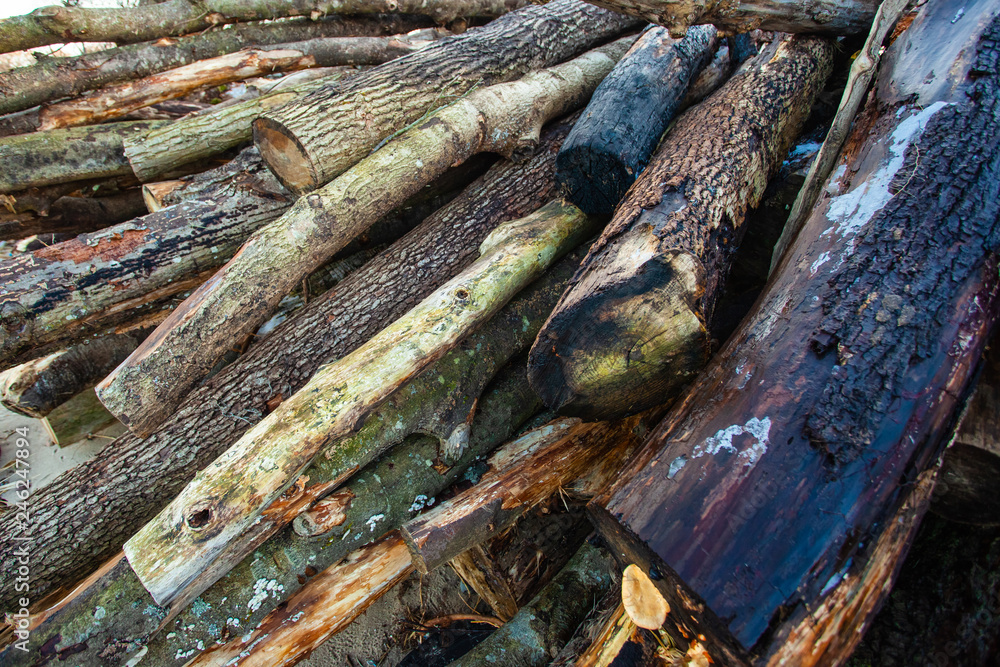 large pile of raw, old logs and firewood, background, texture large pile of raw, old logs and firewood, background, texture