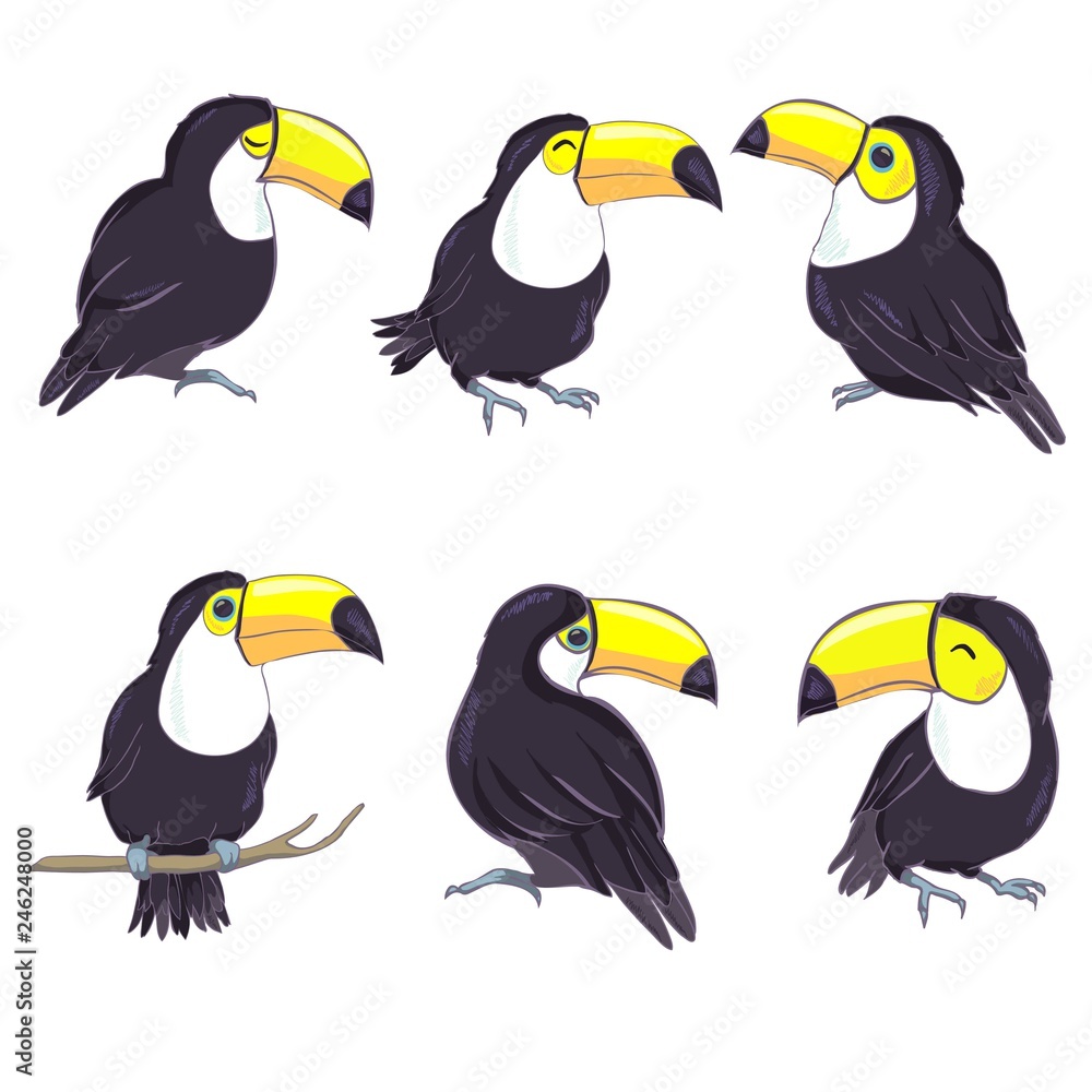 Naklejka premium An illustration of a nice toucan in vector format. A cute toucan bird image for kid's education and fun in nursery and schools, and decoration purposes. Jungle animals collection