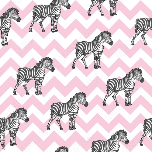 zebra pattern  kid safari print