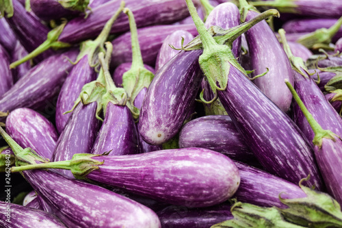 purple eggplants on the market from an organic local farm. Aubergine
