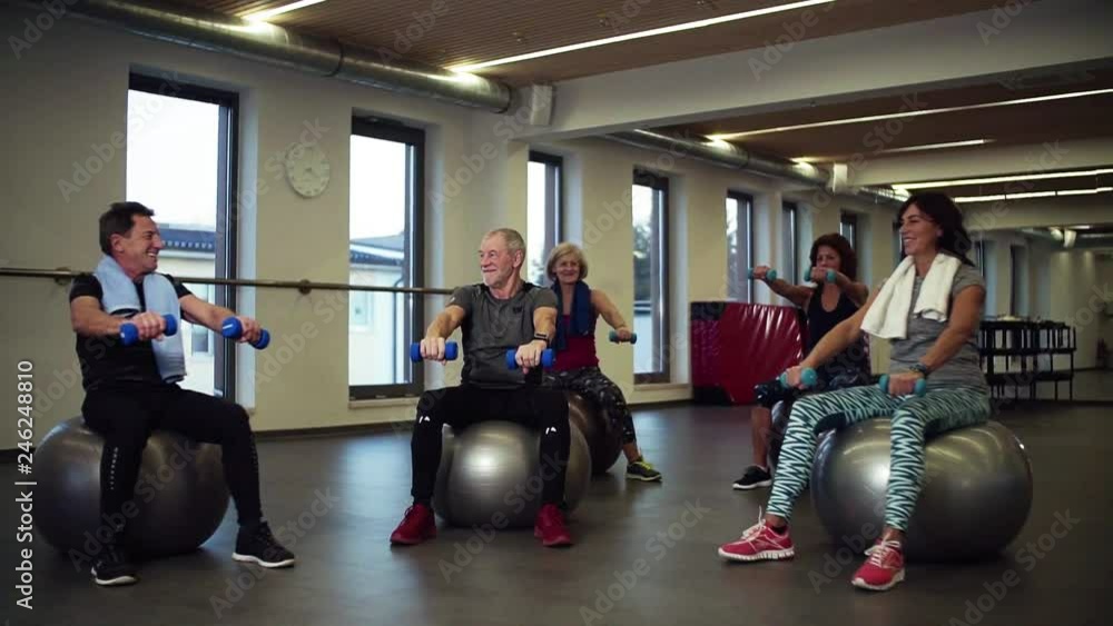 Group of cheerful seniors in gym doing exercise with dumbbells on fit balls. Group of cheerful seniors in gym doing exercise with dumbbells on fit balls.