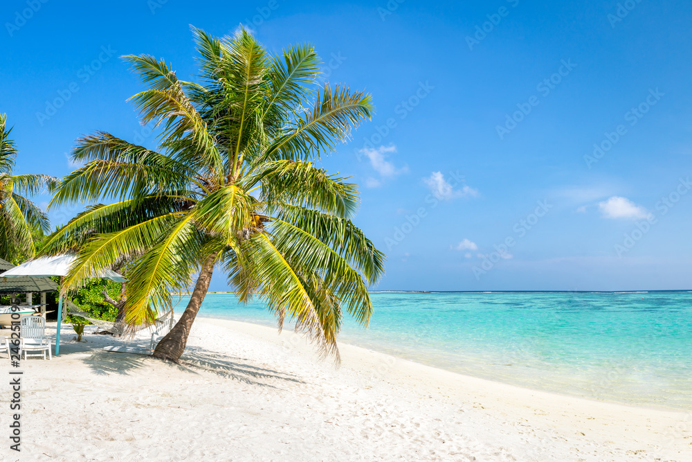 Urlaub am Meer mit Palme und Strand