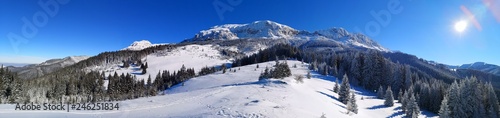 Winter landscape in the mountains - panorama view