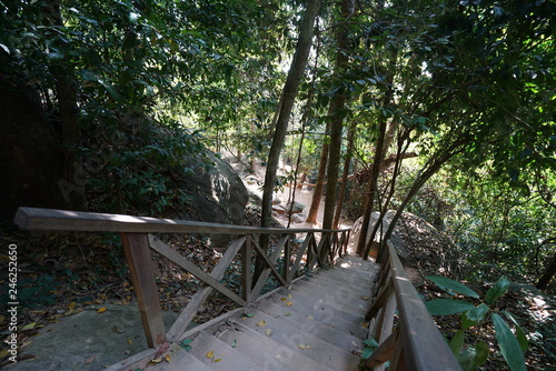 Siem Reap,Cambodia-January 9, 2019: A steep mountain path towards Kbal Spean in Siem Reap, Cambodia photo