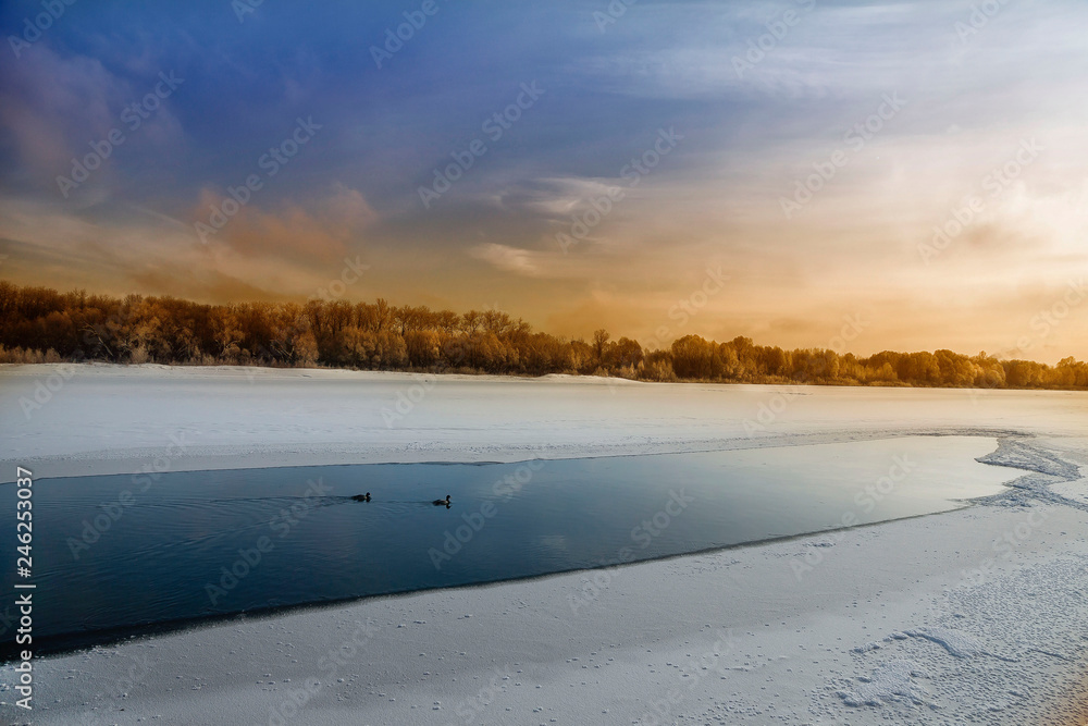 Ducks on the River in Winter, Nature, Winter Forest, Grove, Cold, Frozen River