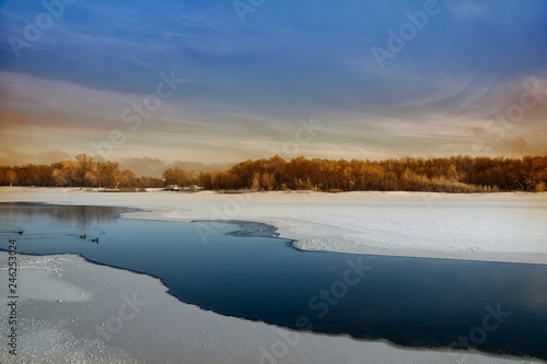 Fototapeta Naklejka Na Ścianę i Meble -  Ducks on the River in Winter, Nature, Winter Forest, Grove, Cold, Frozen River