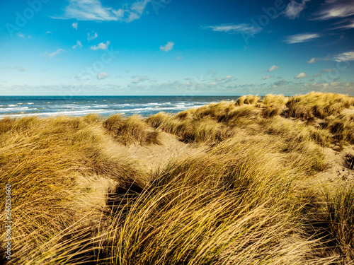 Stunning view from dunes with marram grass in the foreground towards the North Sea at Bray-Dunes