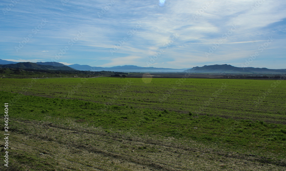 Green field off Gilman Springs Road near the Moreno Valley  in Riverside, California