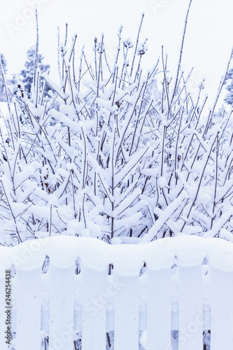 ośnieżony płotek photo