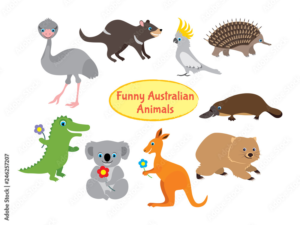 Australian animals isolated on white. Set of funny vector animals in flat  style. Wallaby, kangaroo, Tasmanian devil, koala, crocodile, cockatoo,  parrot, ostrich emu, platypus, echidna, wombat. Stock Vector | Adobe Stock