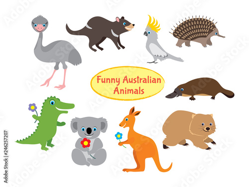 Australian animals isolated on white. Set of funny vector animals in flat style. Wallaby  kangaroo  Tasmanian devil  koala  crocodile  cockatoo  parrot  ostrich emu  platypus  echidna  wombat.
