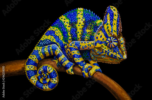 Obraz Oil painting - chameleon on a black background.