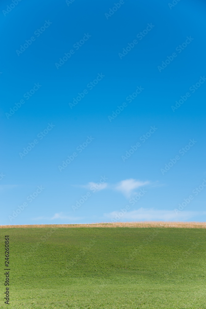 Grüne Wiese und blauer Himmel, natürlicher Hintergrund mit Platz für Text