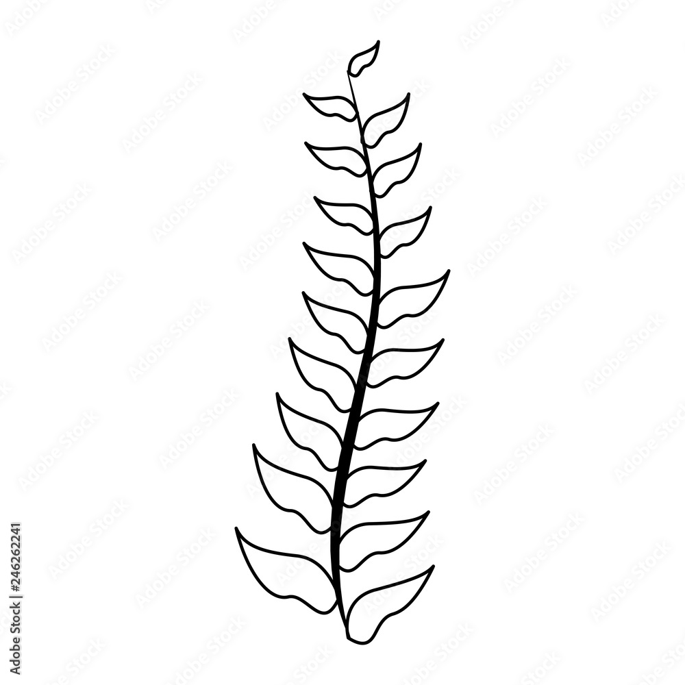 green branch leaves green branch leaves