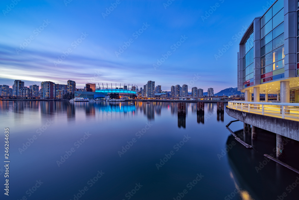 Fototapeta premium skyline at night