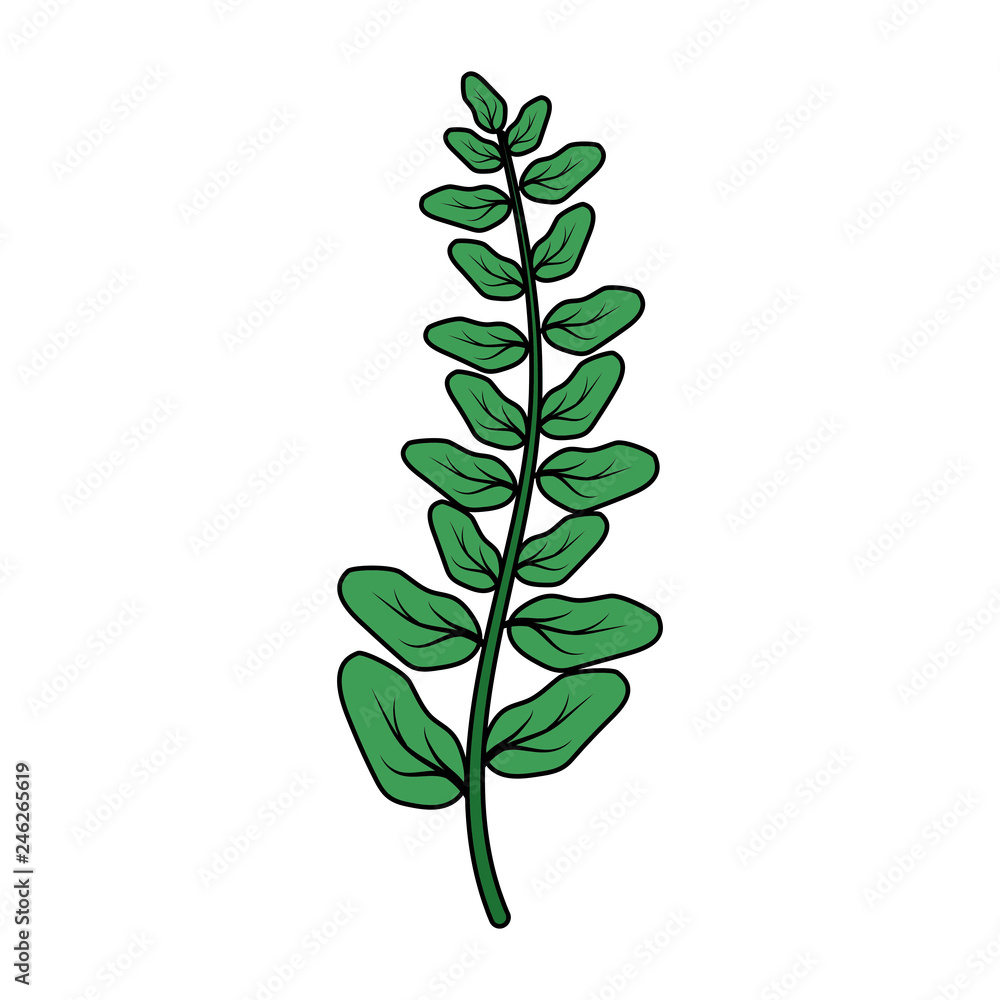 Obraz premium green branch leaves