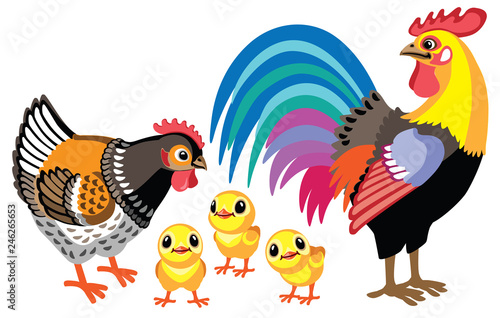 cartoon hen, rooster and little chickens . Vector illustration isolated on white
