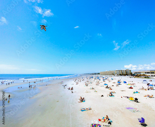 A view of Folly Beach with people on the beach and a seagull flying by | Folly beach, Folly Island, Charleston, South Carolina, USA 2018
