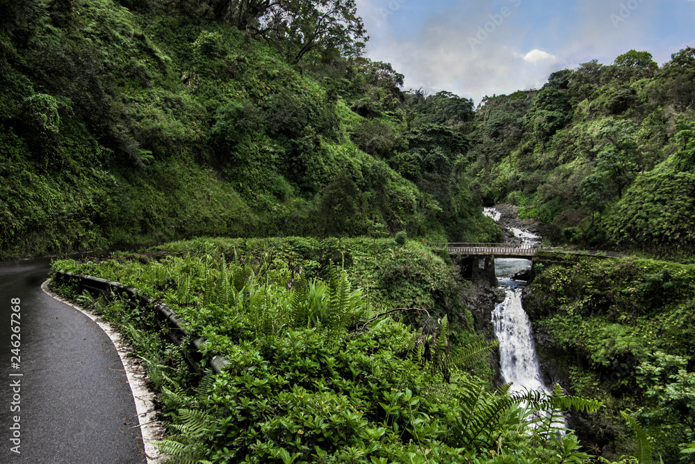 Fototapeta premium Droga do Hana: Autostrada Hana skręca i przechodzi przez jednopasmowy most obok wodospadu na północnym wybrzeżu Maui.