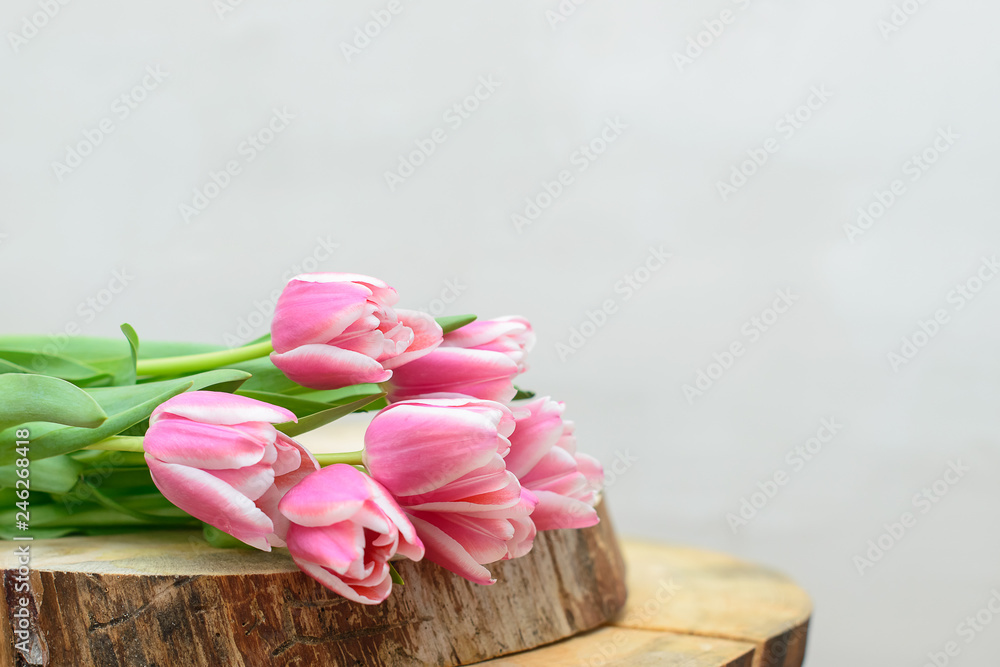 Pink tulips. Spring concept. March 8. Close-up with copyspace. Pink tulips. Spring concept. March 8. Close-up with copyspace.
