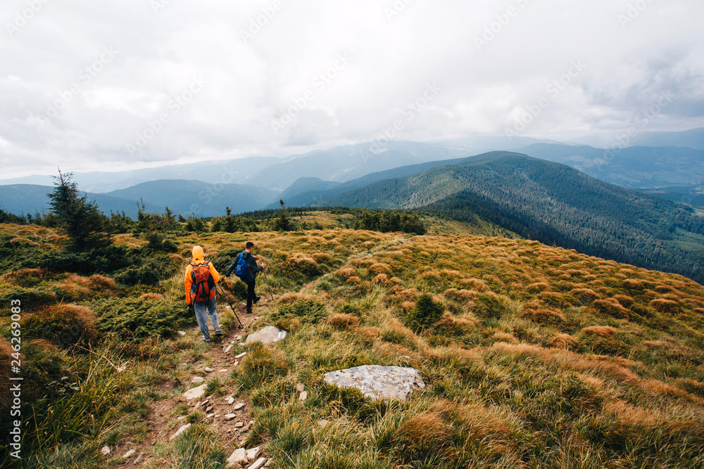 Two persons wandering in the woods and the mountains 
