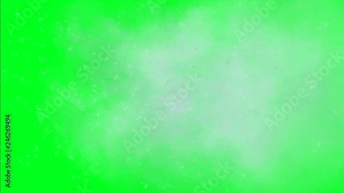 Dandelion seeds and cloud on green screen photo