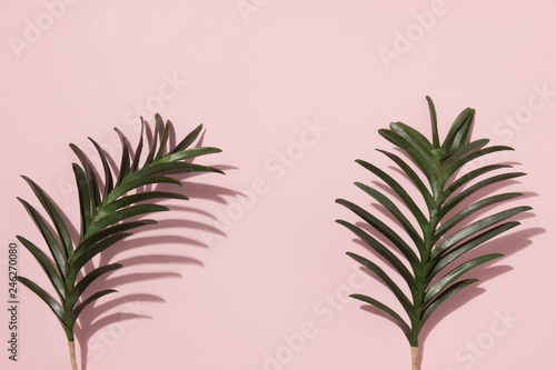 green leaves on pink background