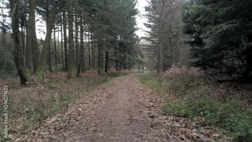 Low angle following route of dirt track between woodland trees & vegetation. photo