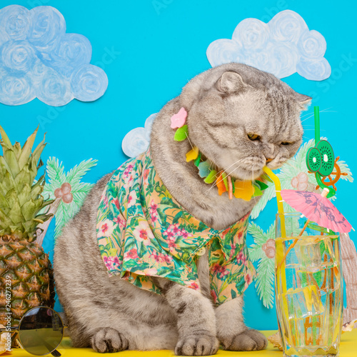 A cat on vacation in a Hawaiian shirt with pineapples and sun glasses and a cocktail drinking from a straw. On the beach with malma. A concept of rest, relaxation, vacation photo