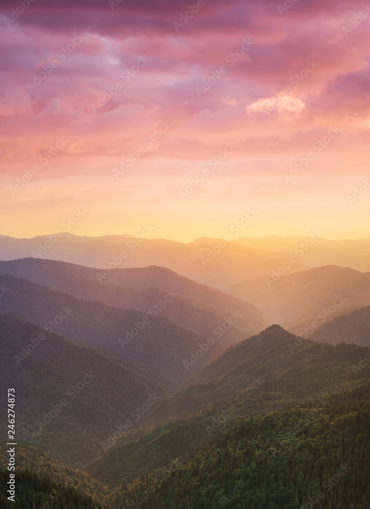 Obraz premium Górska dolina podczas zachodu słońca. Naturalny krajobraz górski lato. Las i góry. Obraz górski ...