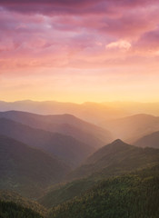 Ingelijste posters Meloenkleur Bergvallei met bos bij zonsondergang  © biletskiyevgeniy