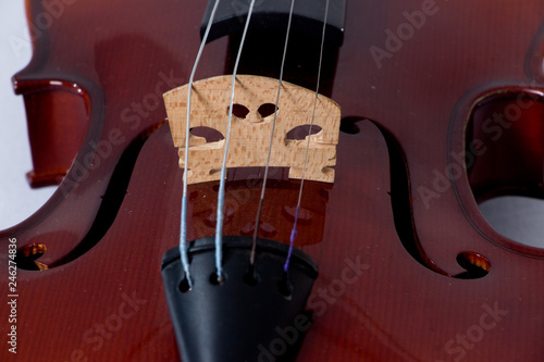 Puente de violin photo