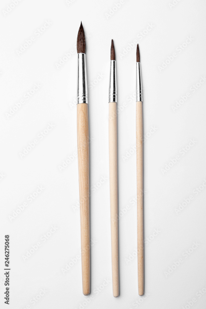 Different paint brushes on white background, top view Different paint brushes on white background, top view