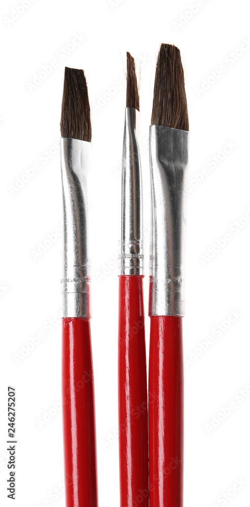 Fototapeta premium Set of different paint brushes on white background