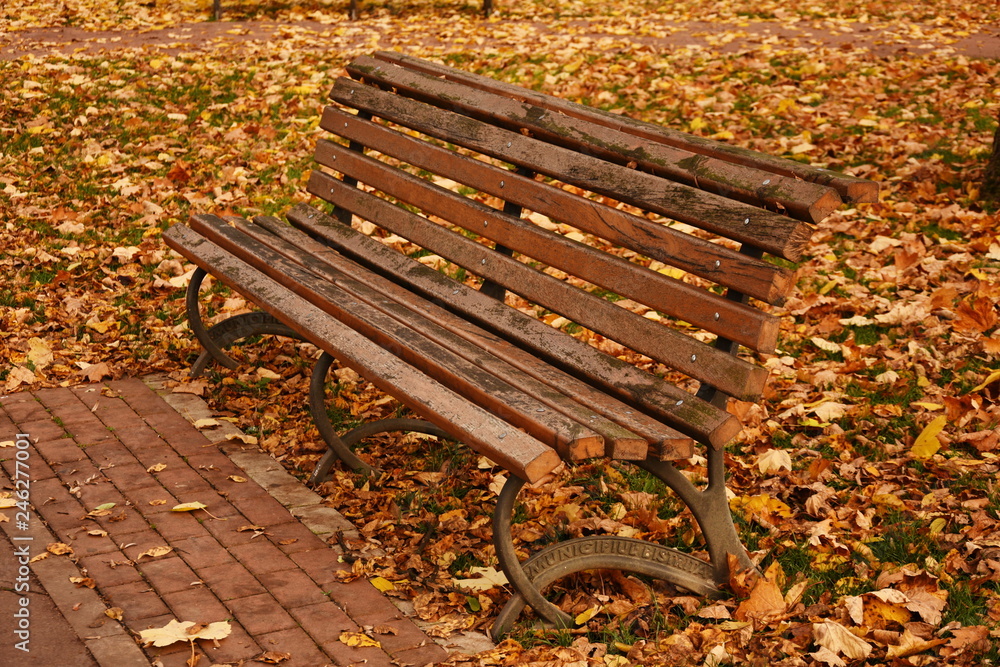 Lonely wooden bench in autumn park under leaves in Bistrita,Romania Lonely wooden bench in autumn park under leaves in Bistrita,Romania