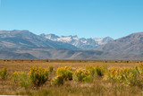 Eastern Sierra Nevada Mountains