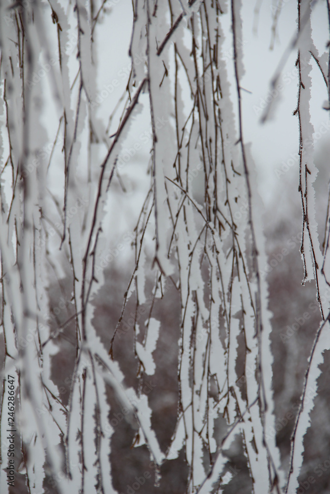 winter wonderland 3 winter wonderland 3