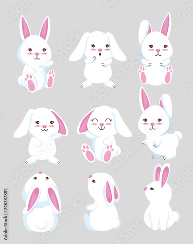 set cute rabbit wild animal