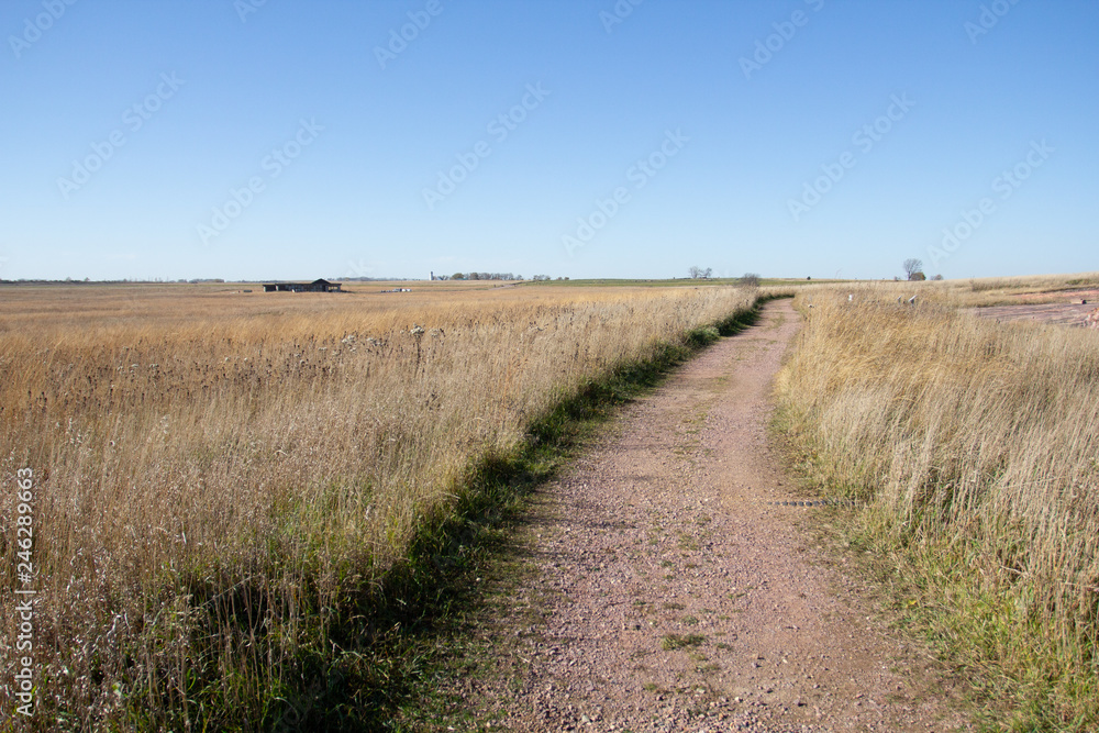 Walk way Walk way