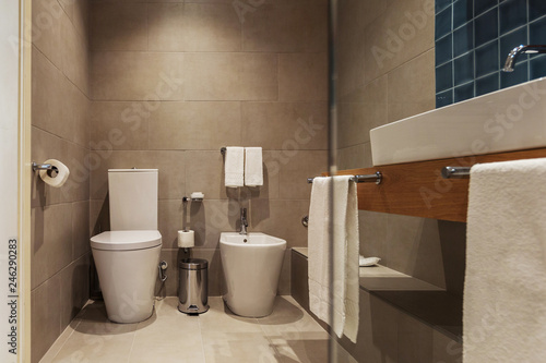 luxury bathroom interior with toilet and  bidet photo