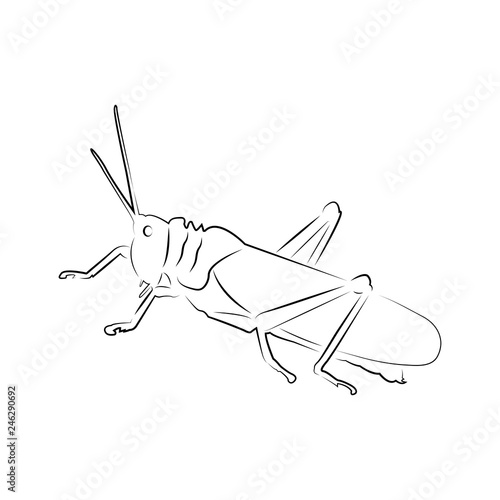 grasshopper logo icon design template vector