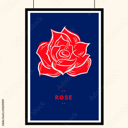 Red rose. Isolated flower on blue background.