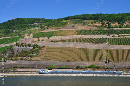 Ship on the Rhine and ruins of Ehrenfels Castle, Rhineland-Palatinate, Germany,2015 photo