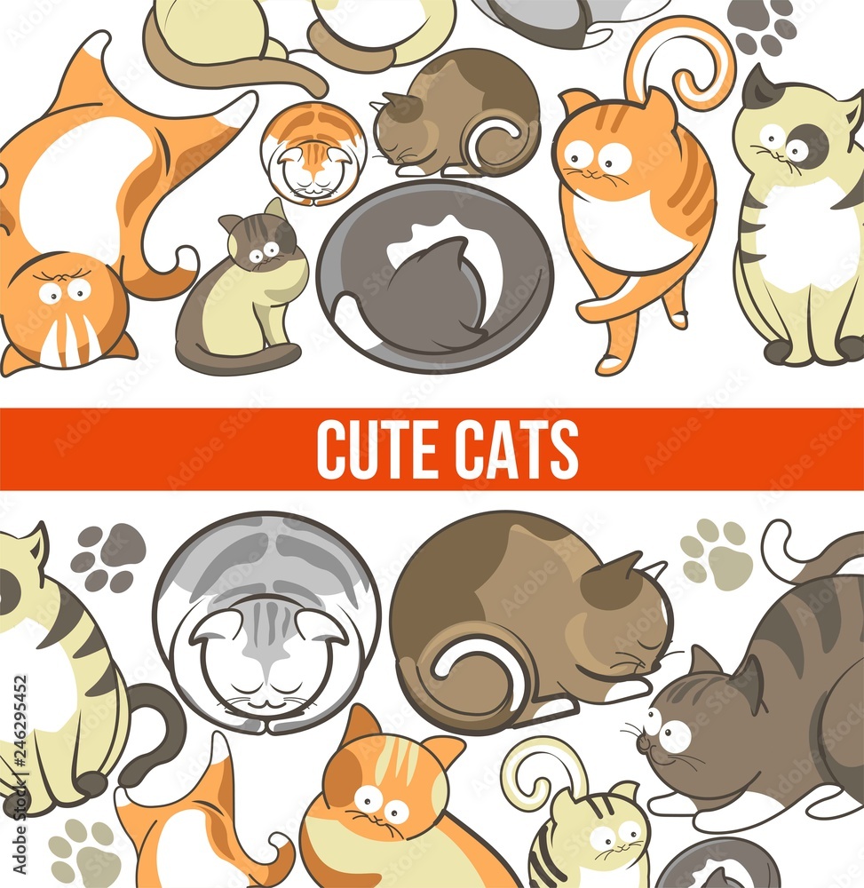 Cute cats with big eyes in sleepy or playful poses